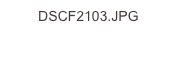 DSCF2103.JPG