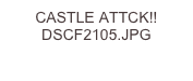 CASTLE ATTCK!! DSCF2105.JPG