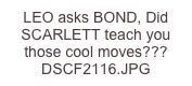LEO asks BOND, Did SCARLETT teach you those cool moves??? DSCF2116.JPG