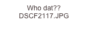 Who dat?? DSCF2117.JPG