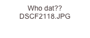 Who dat??  DSCF2118.JPG