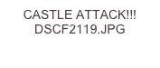 CASTLE ATTACK!!! DSCF2119.JPG