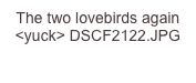 The two lovebirds again <yuck> DSCF2122.JPG