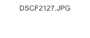 DSCF2127.JPG