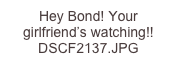 Hey Bond! Your girlfriend’s watching!! DSCF2137.JPG
