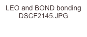 LEO and BOND bonding DSCF2145.JPG
