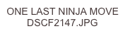 ONE LAST NINJA MOVE  DSCF2147.JPG