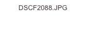 DSCF2088.JPG