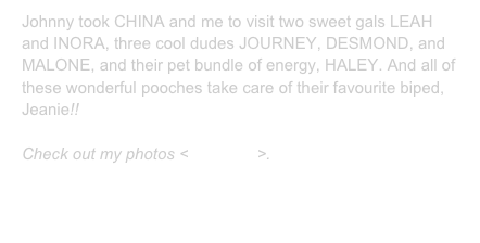 Johnny took CHINA and me to visit two sweet gals LEAH and INORA, three cool dudes JOURNEY, DESMOND, and MALONE, and their pet bundle of energy, HALEY. And all of these wonderful pooches take care of their favourite biped, Jeanie!! 

Check out my photos <sideshow>.
Leo